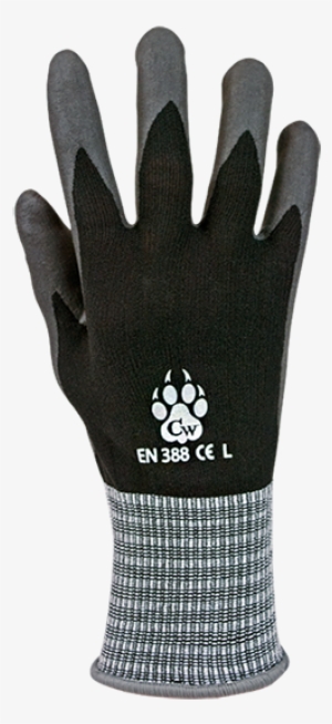 Claw Wear Gloves Lion Claw - Glove
