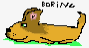 Boring Dog