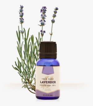 Lavender Oil - Fine Lavender Essential Oil Organic 10ml Florame