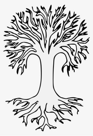 Details, Png - Png Bare Tree Drawing With Roots
