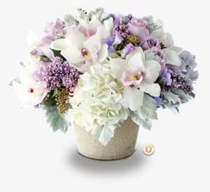Lavender Flowers And Dusty Miller