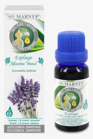 Spike Lavender Essential Oil - Aceite De Anis De Estrella