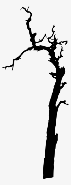 Free Png Dead Tree Silhouette Png Images Transparent - Silhouette