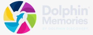 Dolphin Discovery Memories