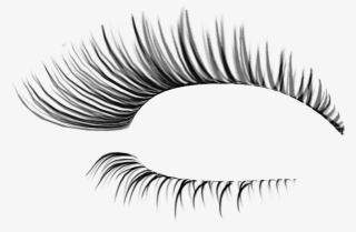 Otros Blogs Que Te Pueden Interesar - Fake Eyelashes Transparent Background