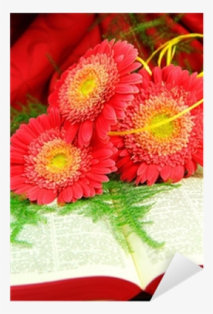 Detail Of Red Flowers And Open Bible Sticker • Pixers® - Bible