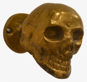 Raw Rustic Gold Skull Decorative Hook - R 16 Home 826 Skull Hook, 5" X 3" X 3.5", Rustic Gold