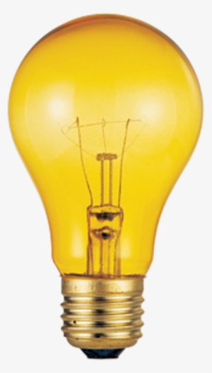 Tipo De Bombillo - Incandescent Light Bulb