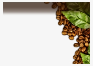 Prueba Nuestros Deliciosos Cafés - Coffee