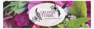 Calypso Floral Specializes In Crafting The Perfect, - African Daisy