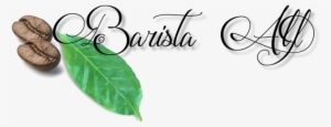 Logo Barista - Hojas De Cafe Logo