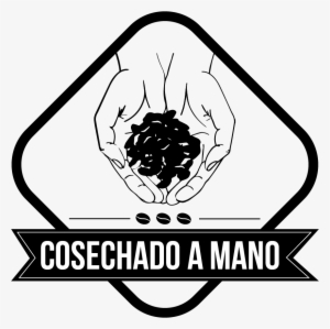 Para Brindarles El Mejor Café, Nuestros Granos Son