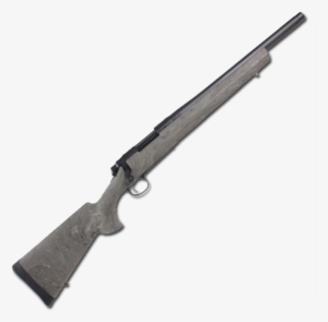 Remington 700spsgrn 600 - Ruger American 6973