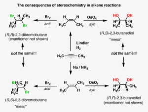 6-blankcanvas - Alkane To Alkene Reactions