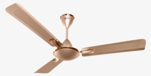 orient gratia shine anti dust decorative ceiling fan - orient gratia ceiling fan