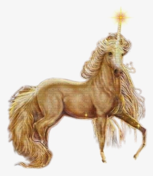animal, animals, unicorn, unicorns - horse transparent gold unicorn
