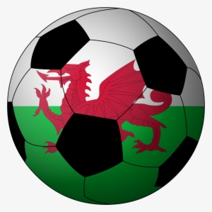 football wales - wales vs south africa 2016