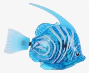 Original Fish Cat Toy - Fish