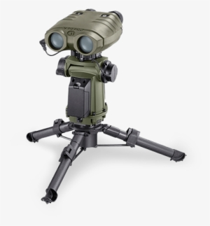 Sterna Vector Family - Sterna Safran