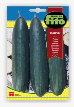 Semillas Fitó Cucumber Bellpuig