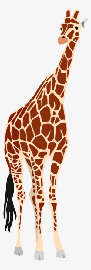 Giraffe Clipart, Vector Clip Art - Giraffe Vector
