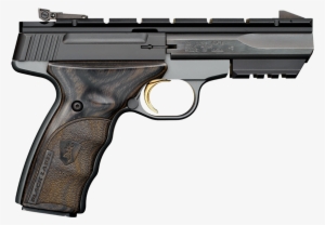 Pistols - Springfield Range Officer Elite Target