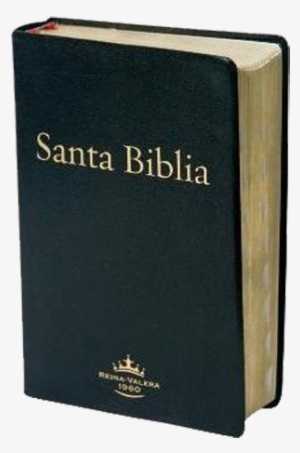 Capítulos Y Versículos De La Biblia,dando La Facilidad - Libro Sagrado Del Cristianismo