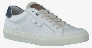 Witte Australian Footwear Veterschoenen Lendl