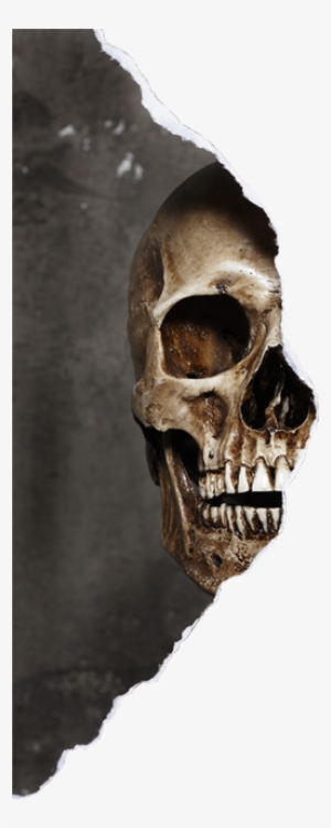 Skeleton Overlay Oldphoto Photo Face Halloween - Skeleton Png For Picsart
