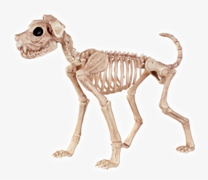 Crazy Bonez Skeleton Dog - Crazy Bonez Skeleton Dog - Buster Bonez