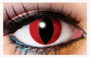 Demon Contact Lenses Black Demon Eye Conta - Innovision Lens One Day Demon Cosmetic Lenses