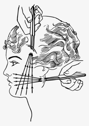This Free Icons Png Design Of Early Plastic Surgery