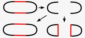 File - Circle-surgery - Svg - Surgery