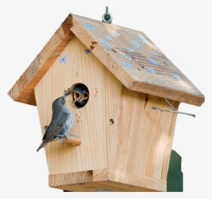 Bird House - Transparent Bird House Png