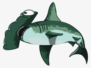Hammer-head Fish - Shark