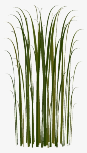 Cat Tail Png For Kids - Cattail Png
