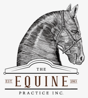 The Equine Practice, Inc - Horse