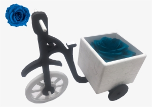 Bici Cajonblanco Rosa Celeste Obscuro