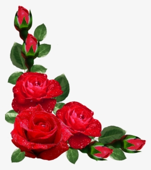 Red Roses Border Png - Rose Corner Border Png