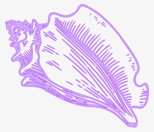 Conch Shell Clip Art