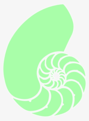 How To Set Use Green Nautilus Shell Clipart - Nautilus Shell Cartoon