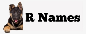 Girl Names