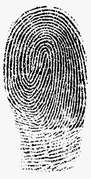 fingerprints images png - fingerprint evidence