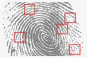 This Session Requires Advance Signup To Attend - Fingerprints Used To Solve Crimes