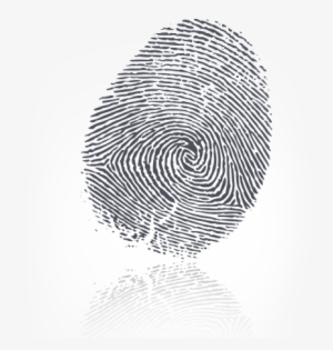 Anytime Fingerprinting's Solutions