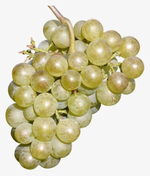 Wine Grapes Free Fruit Delicious