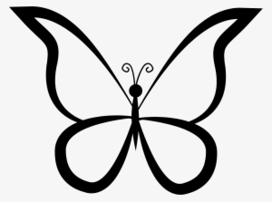 Butterfly Outline Design From Top View Comments - Clipart Pic Outline Of Butterfly