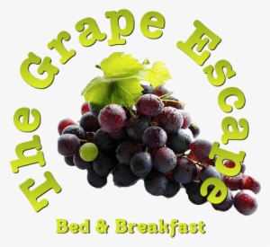 The Grape Escape - Les Huit Cures De Revitalisation