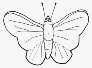 Butterfly - Clip Art Moth Black And White