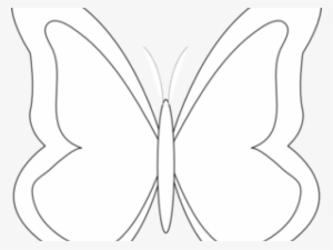 Outline Of A Butterfly - Pieridae